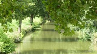 Les Hirondelles - Fourcès - 4