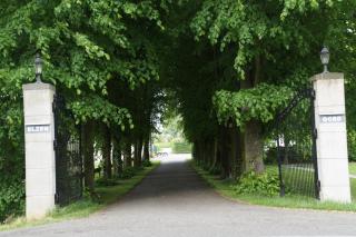 Vakantiehuizen Hofstede Elzenoord - Vrouwenpolder - 5