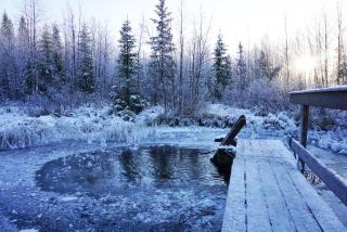 Stena Cabins & Apartments - 1