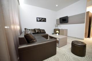 Royal Airport Hotel - Velika Gorica - 8