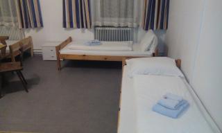 Gasthof zum Nibelungenbauer - Pöchlarn - 7