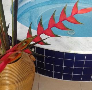 Apartamento Sonho Meu - Ubatuba - 4