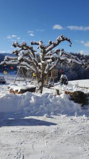Hölzlhof - Bruneck - 5