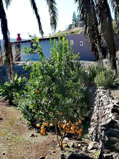 Casa La Montaña - El Cedro - 0