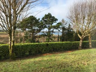 Mick's Cottage - Loughrea - 9