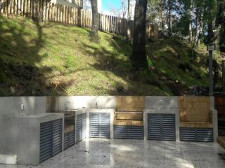 Paillahue Pucon - Pucón - 1