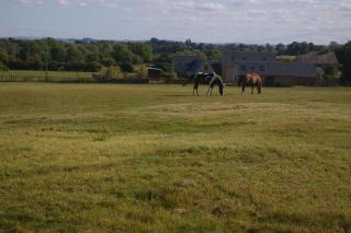 Ty Nant Cottages and Suites - Carterton - 6