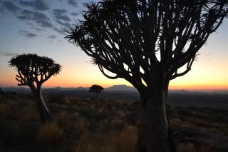 Namibs Valley Lodge - 3