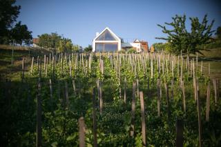 Ég & Föld Borvendégház - 8