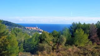 Villa Shambhala - San Bartolomeo al Mare - 3