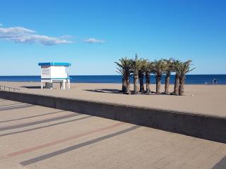Les Cigales - Narbonne-Plage - 0