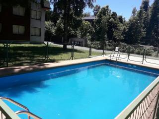 Natulareza y relajo-muy cercano al centro de Pucón - Pucón - 1