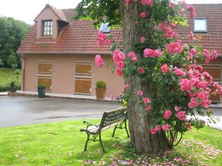 Hotel du Moulin aux Draps - Desvres - 1