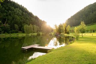 Hotel Seeblick - Goldegg - 9