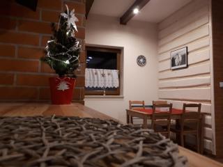 Apartamenty "Maryna House" Zakopane - Zakopane - 1