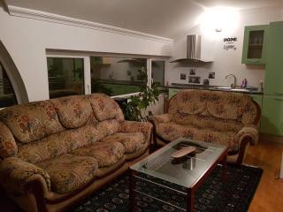 Villa Borak Sarajevo - Sarajevo - 9