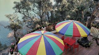 The Woods - Nainital - 1