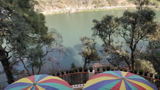 The Woods - Nainital - 2