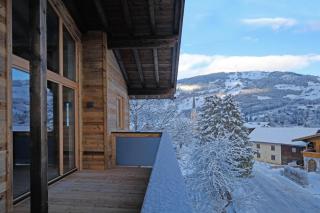 Alpin Penthouse Hollersbach - 9