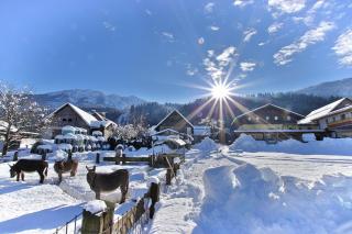 Hotel Beim Winkler - Tröpolach - 4