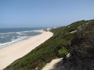 Beach House, 50 meters from the sea - São Pedro de Muel - 9