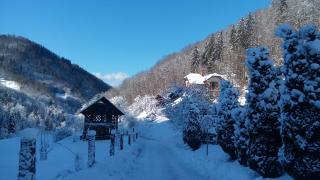 Turistična kmetija Weiss - Miklavž pri Taboru - 6