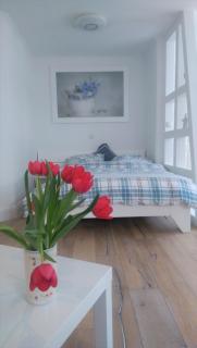 Apartment Seerose - 5