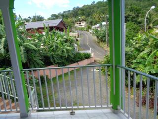Jardin Bananier - Deshaies - 5