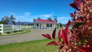 Little Sunnyside Accommodation - Hagley - 4