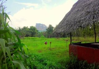 Sigiriya Rock Gate Resort - Sigiriya - 2