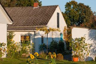 Ferienlandhaus Riehenhaar - Telgte - 6