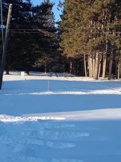 Mountain View Motel - Barrys Bay - 9