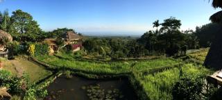 Rinjani Mountain Garden - Bayan - 1