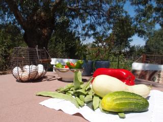 Agroturismo El Mirador de la Cigüeña - 1