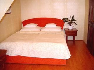 Göcsej Palatinus Étterem és Panzió - 8