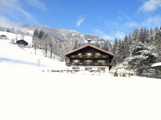 Haus Waldhof - Brixen im Thale - 8
