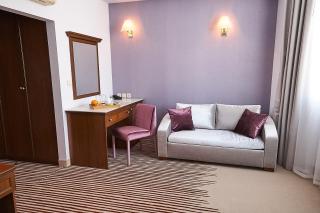 Hotel Lion Sofia - Sofia - 7