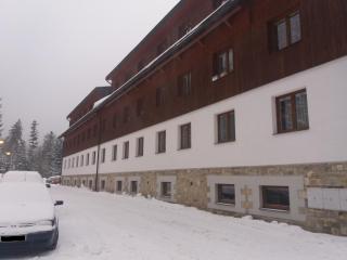 Apartmán Špičák Sruby - Špičák - 8