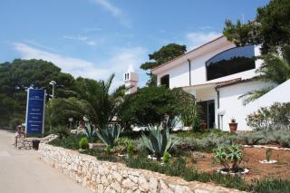 Hotel Solitudo - Ubli - 9