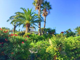 Villa Zara - Saint Tropez Holiday Villa - Saint-Tropez - 8