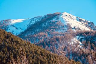 Hotel Chamois d'Or - Tende - 0