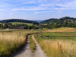 FeWo Darsberg - Neckarsteinach - 1
