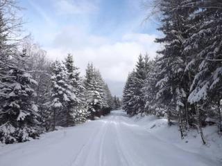 Chalupa Denis & Marek - 4