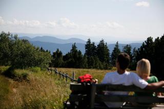 Decker's Bio Hotel zum Lamm - 2