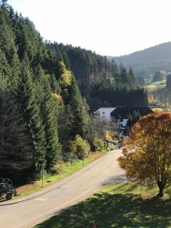 Decker's Bio Hotel zum Lamm - Baiersbronn - 6