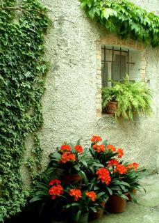 B&B gil d'o - Bertiolo - 8