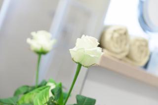 Hotel Villa Rosa - 6