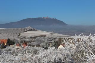 Gite coté jardin FAHRER ACKERMANN - 4