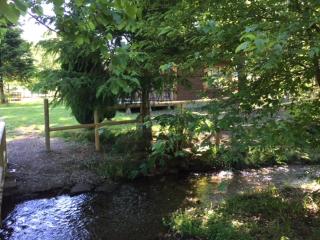 Cabañas Pichares - 1