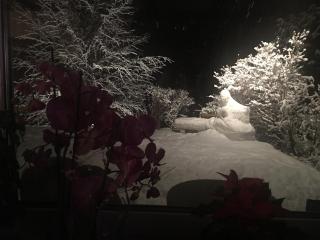 Ferienhaus Kramser - 4